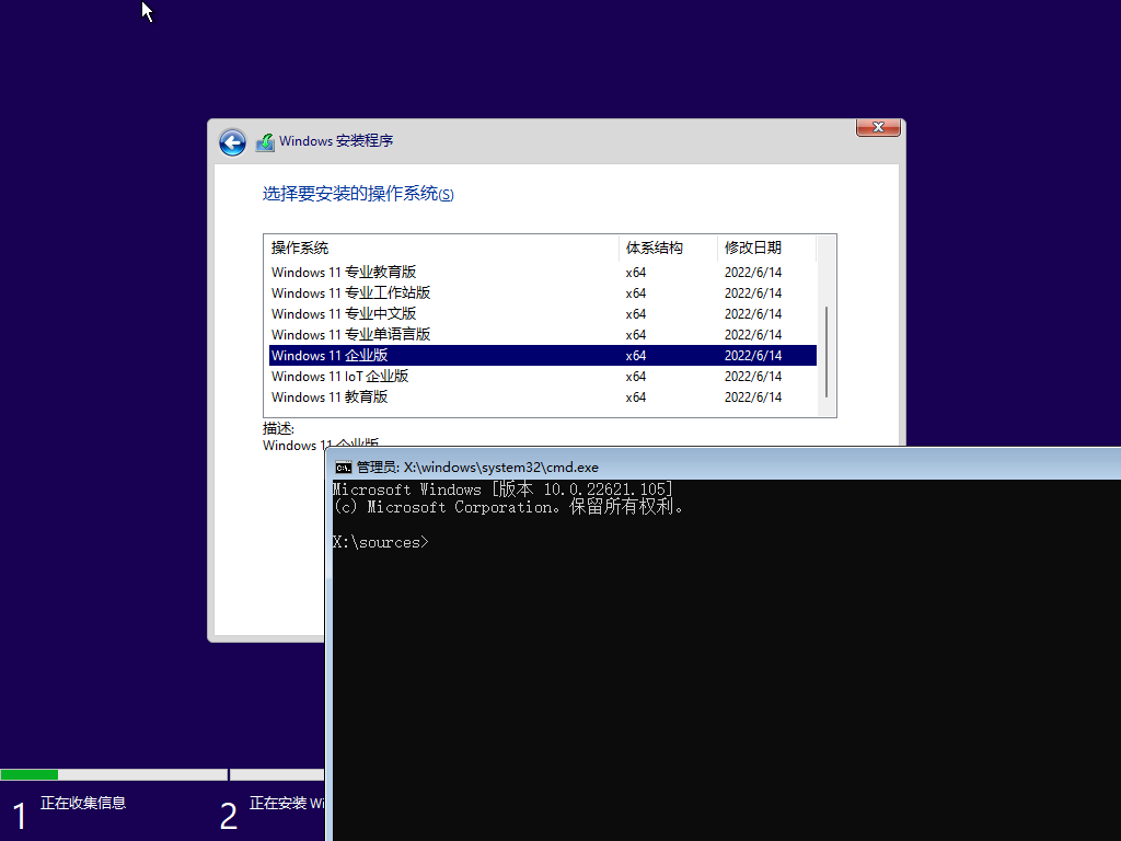 Windows 11 22621.105 64位 multi-edition ISO截图