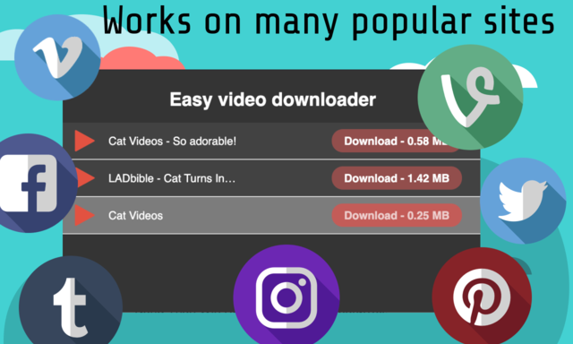 Web Video Downloader-网页视频下载工具截图