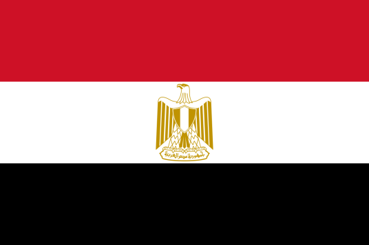 1956年5月30日，我国与埃及建交