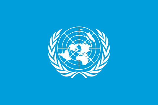 1979年12月18日，联合国大会通过《消除对妇女一切形式歧视公约》