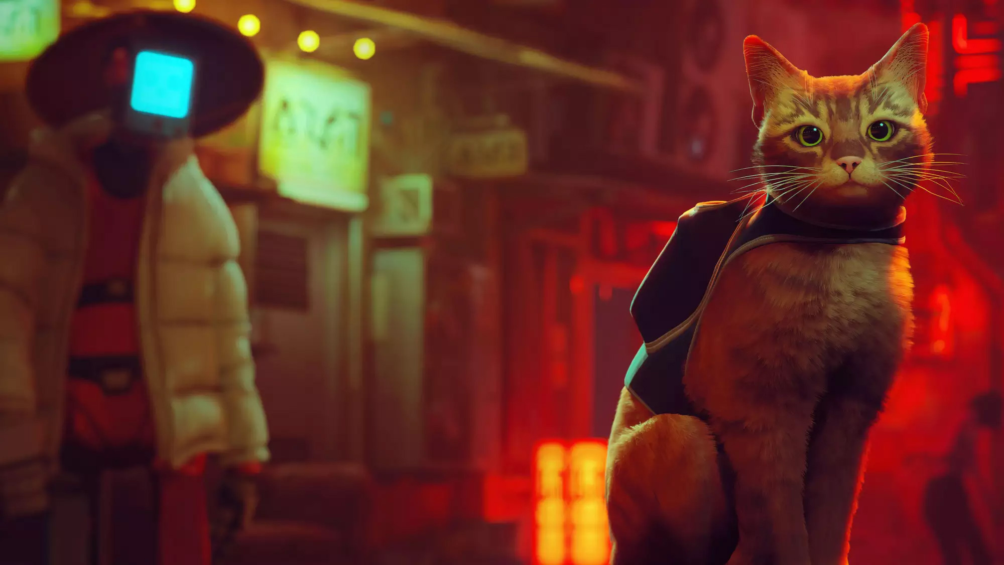 赛博朋克猫咪冒险游戏《Stray》将被改编动画电影